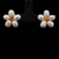Bai – Pearls
